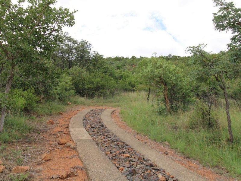 A natural residential plot featuring a concrete driveway with a central stone drainage channel, surrounded by established native trees and shrubs.