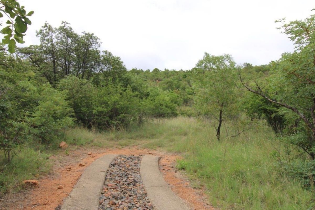A view of a natural residential plot featuring a concrete and stone driveway path leading into a lush, undeveloped garden area.