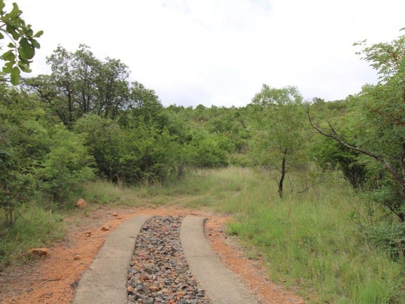 A view of a natural residential plot featuring a concrete and stone driveway path leading into a lush, undeveloped garden area.
