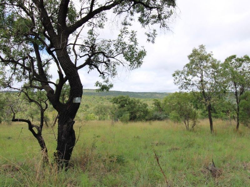 A scenic view of the natural landscape featuring native trees and open grassland on the vacant residential property.