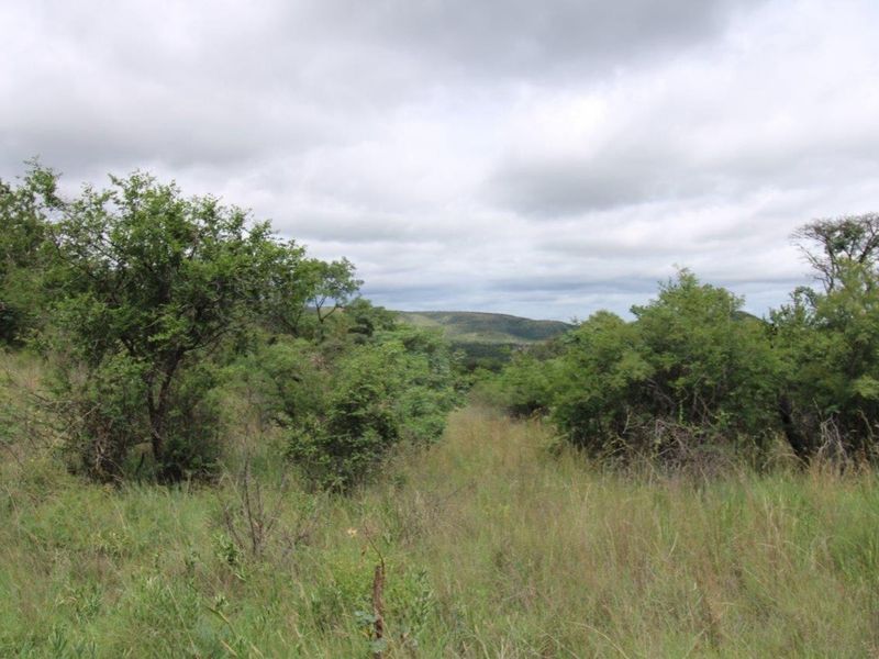 A scenic view of the natural landscape and indigenous vegetation on the vacant residential property.