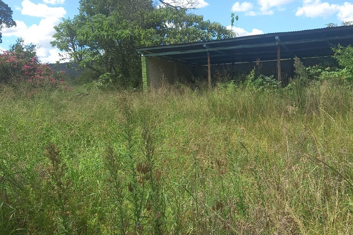 Smallholding For Sale In Bela Bela - Photo 5
