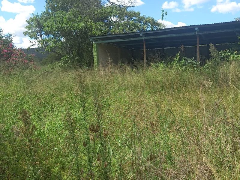 Smallholding For Sale In Bela Bela - Photo 5