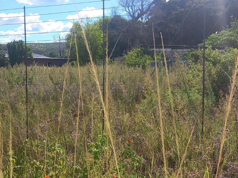 Smallholding For Sale In Bela Bela - Photo 9