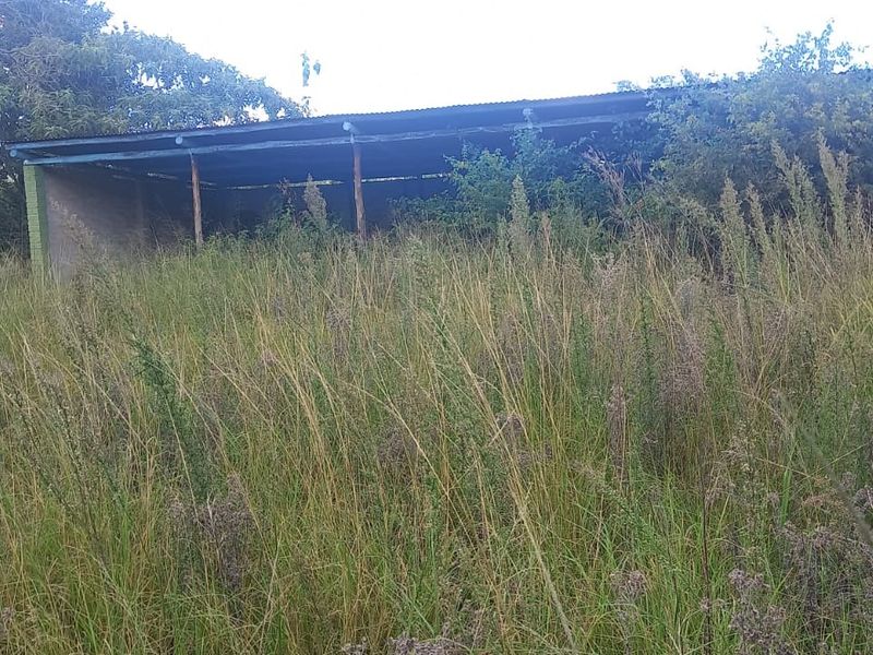 Smallholding For Sale In Bela Bela - Photo 8