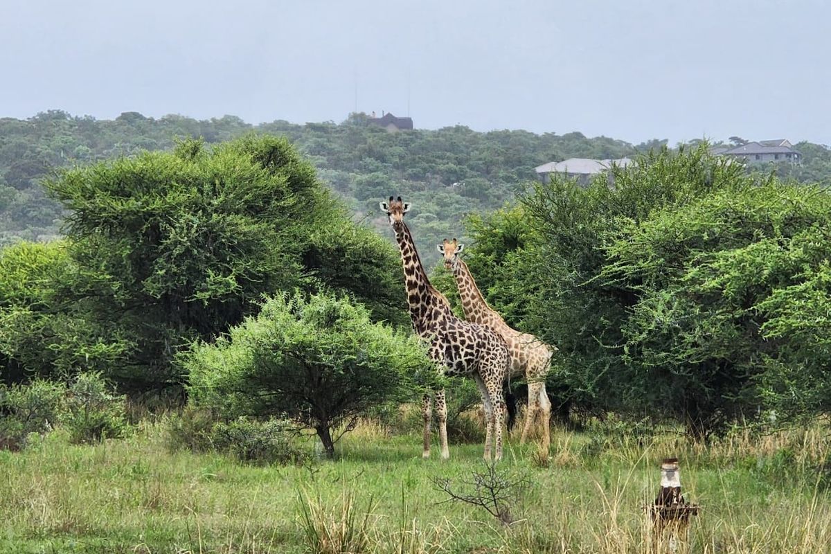 Vacant Land Residential For Sale In Bela Bela - Photo 3