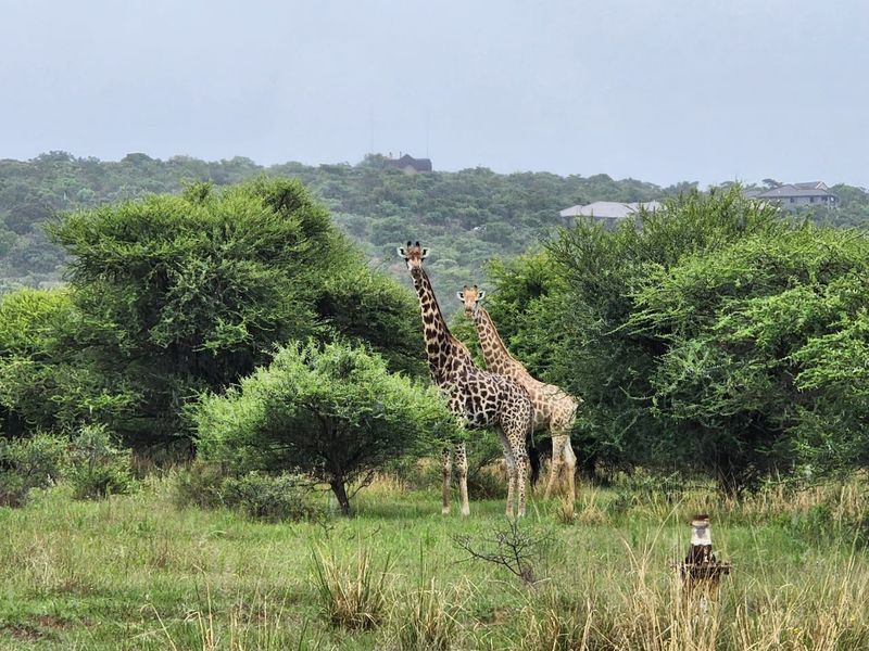 Vacant Land Residential For Sale In Bela Bela - Photo 3