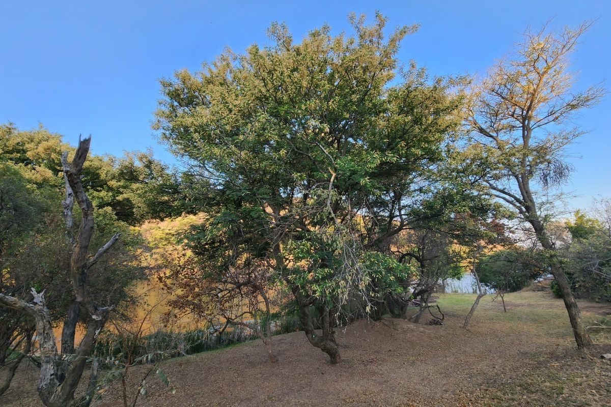 Vacant Land Residential For Sale In Bela Bela - Photo 2