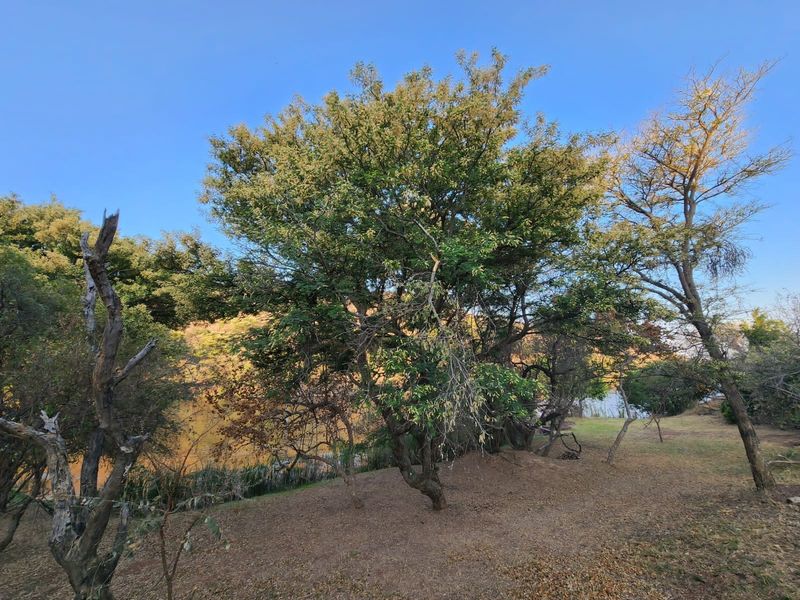 Vacant Land Residential For Sale In Bela Bela - Photo 2