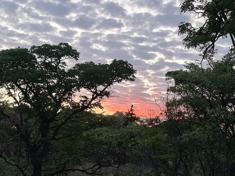 A scenic view of the natural landscape and sunset, showcasing the tranquil environment of the vacant residential land.