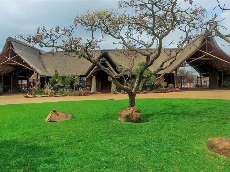 A well-maintained residential property featuring a distinctive thatched roof design, expansive paved driveway, and manicured front lawn.
