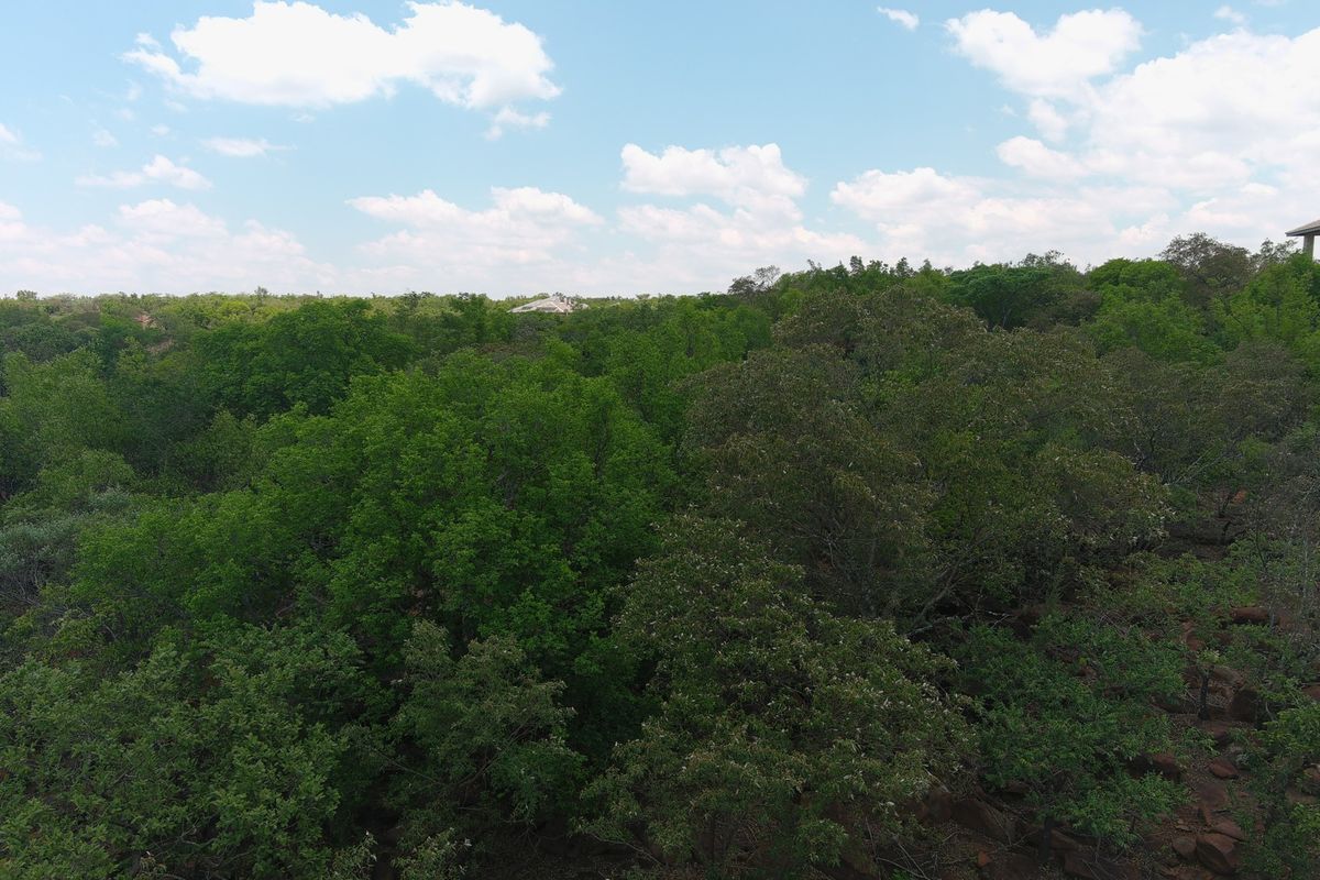 An aerial view of a densely wooded residential plot featuring mature trees and natural landscape.