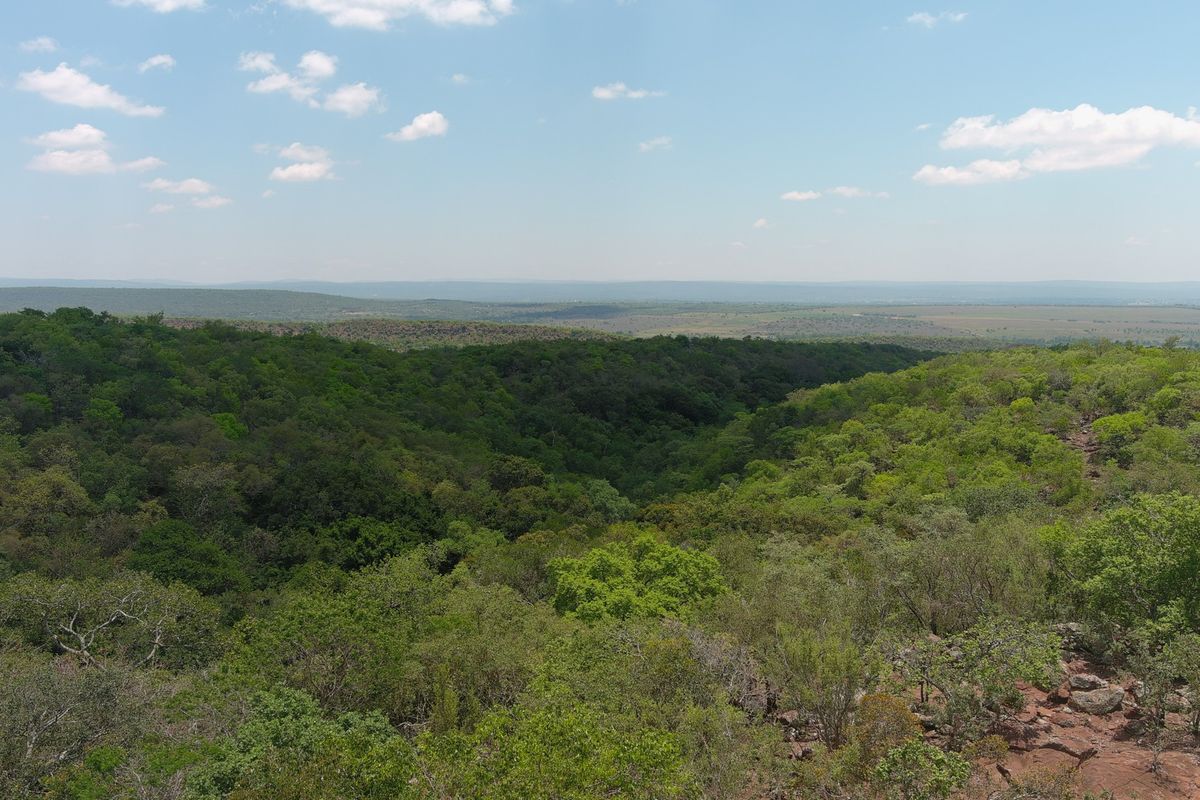 A scenic, elevated view overlooking a vast, lush green landscape with dense forest and rolling hills under a clear blue sky.