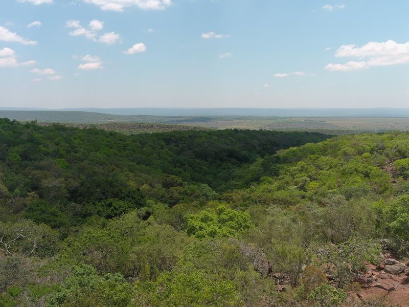 A scenic, elevated view overlooking a vast, lush green landscape with dense forest and rolling hills under a clear blue sky.