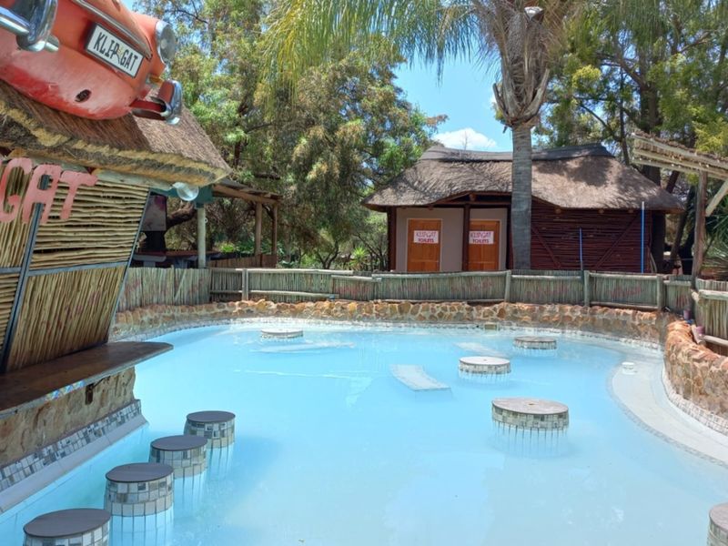 Outdoor pool area featuring a unique swim-up bar with built-in stools, thatched roof structures, and natural stone landscaping.