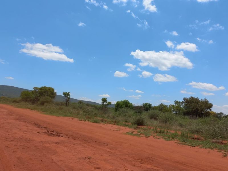 A view of a dirt access road leading through the natural landscape of the lodge property.