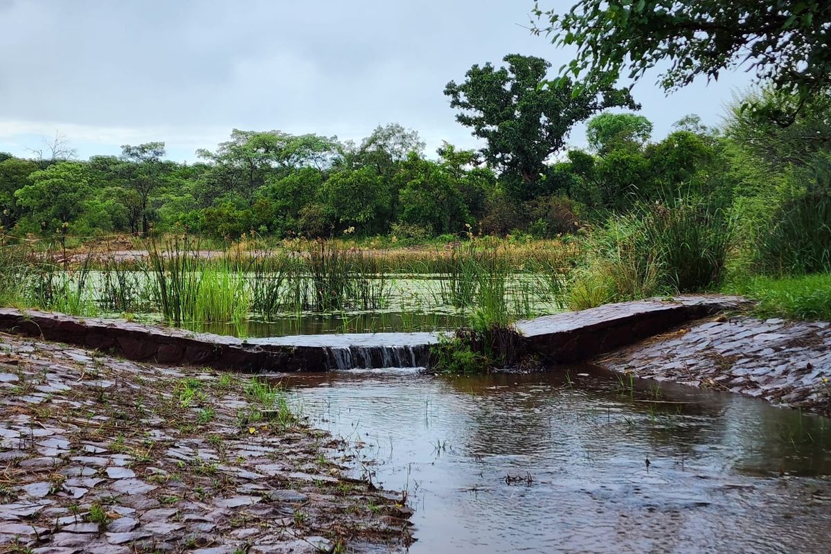 A scenic view of a natural pond featuring a stone-lined water channel and a small stone weir, surrounded by lush indigenous vegetation.