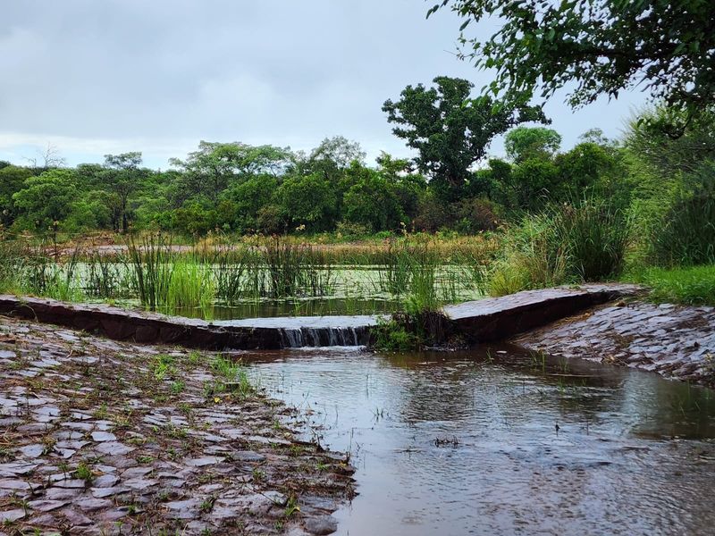 A scenic view of a natural pond featuring a stone-lined water channel and a small stone weir, surrounded by lush indigenous vegetation.