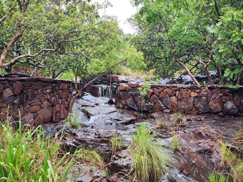 A natural landscape feature on the property showcasing a stone retaining wall integrated with a flowing rock water feature and mature trees.