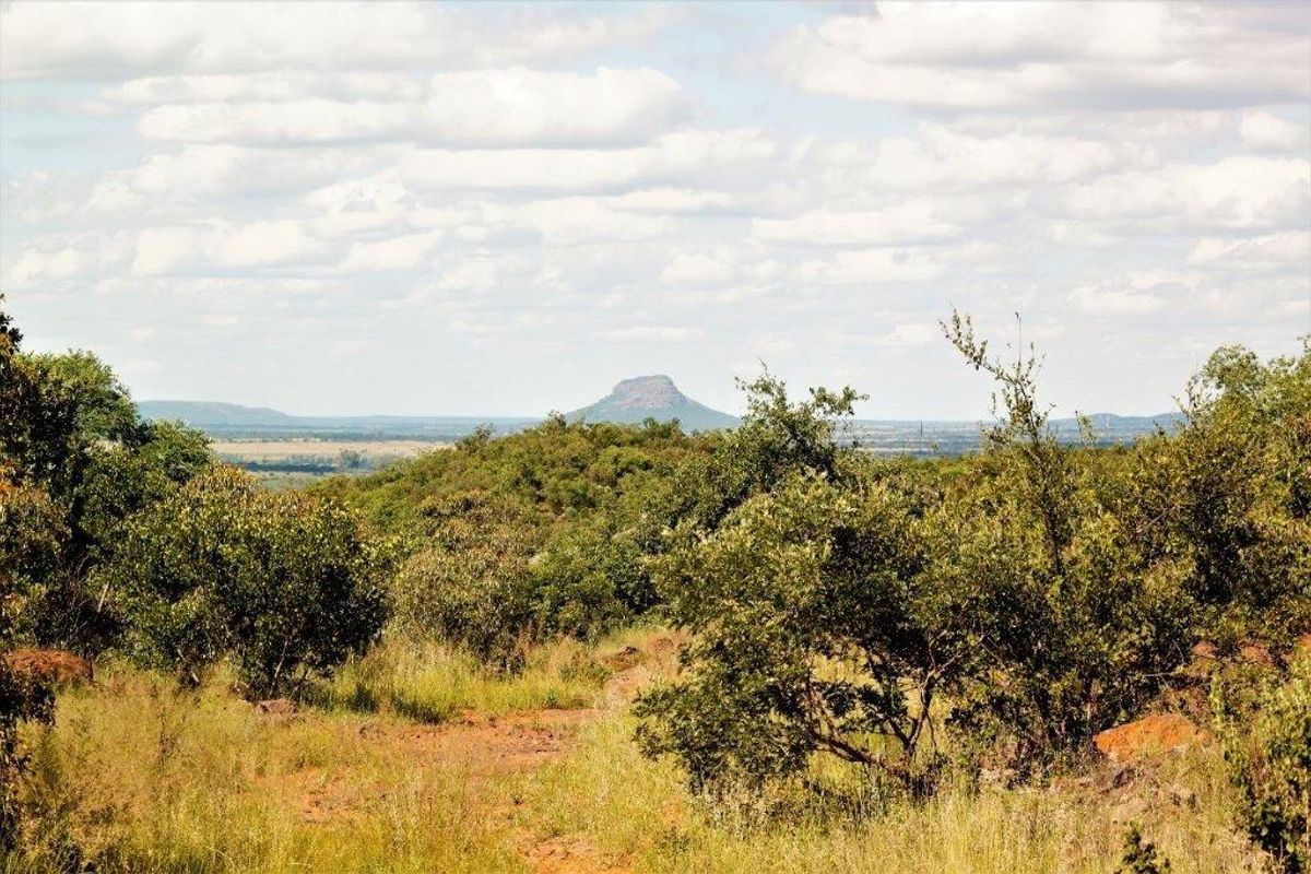 Vacant Land Residential For Sale In Bela Bela - Photo 3
