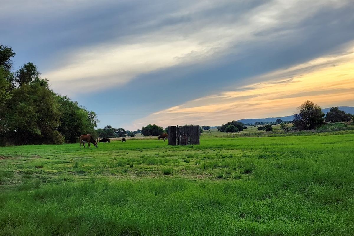 Vacant Land Residential For Sale In Bela Bela - Photo 4