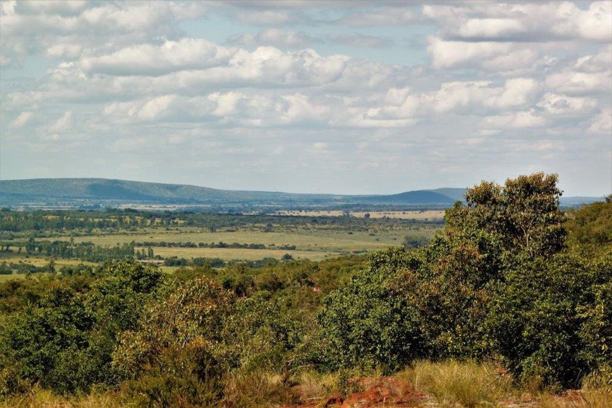 A scenic, elevated landscape view overlooking expansive natural bushveld, rolling hills, and open plains under a clear sky.
