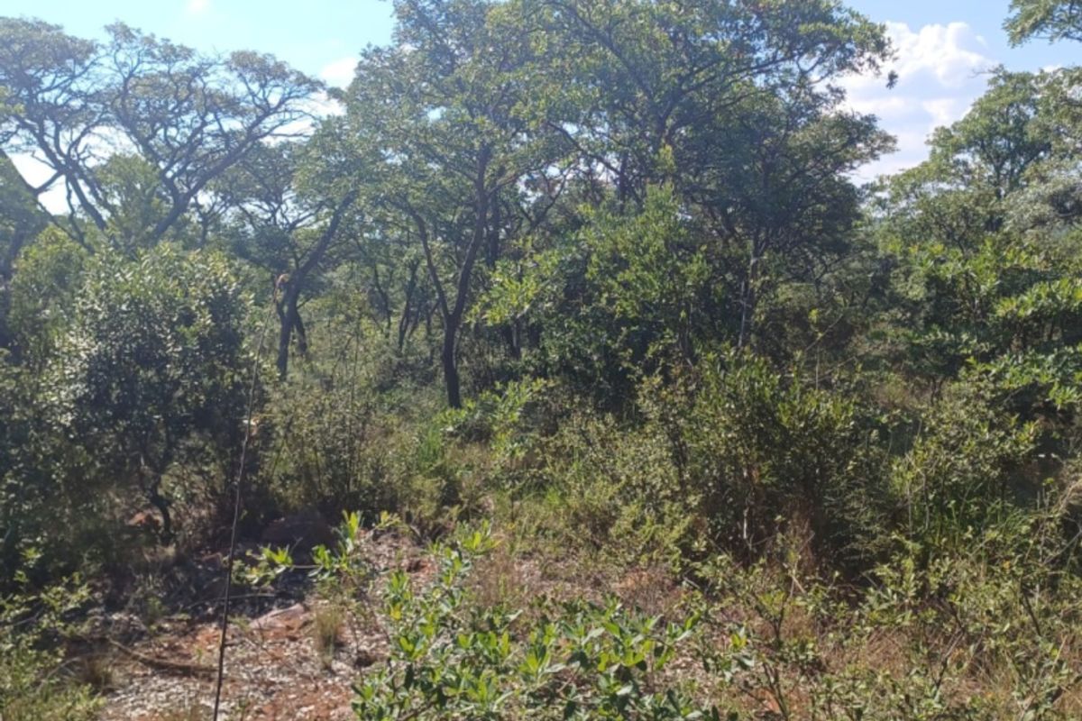 Vacant Land Residential For Sale In Bela Bela - Photo 4