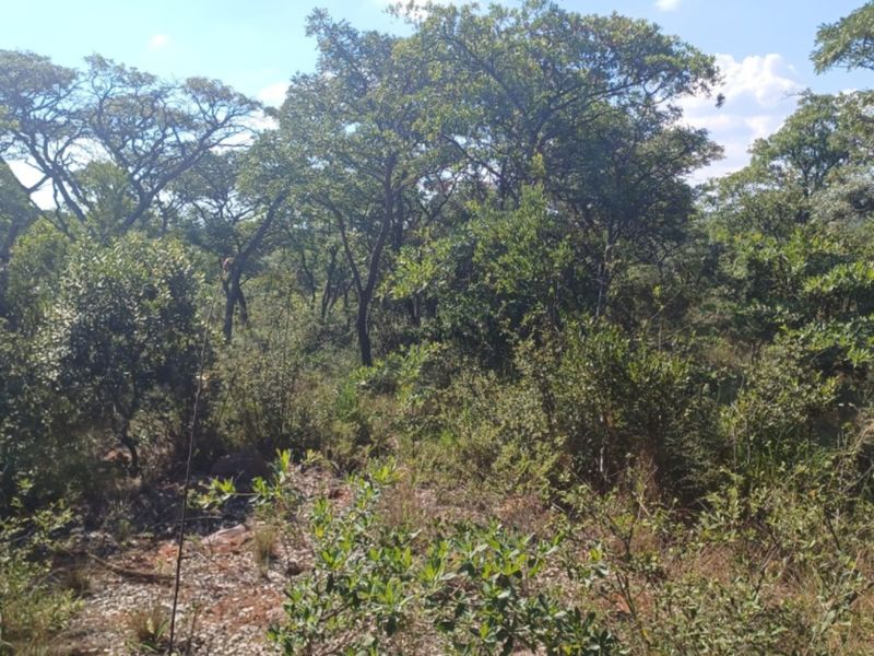 Vacant Land Residential For Sale In Bela Bela - Photo 4