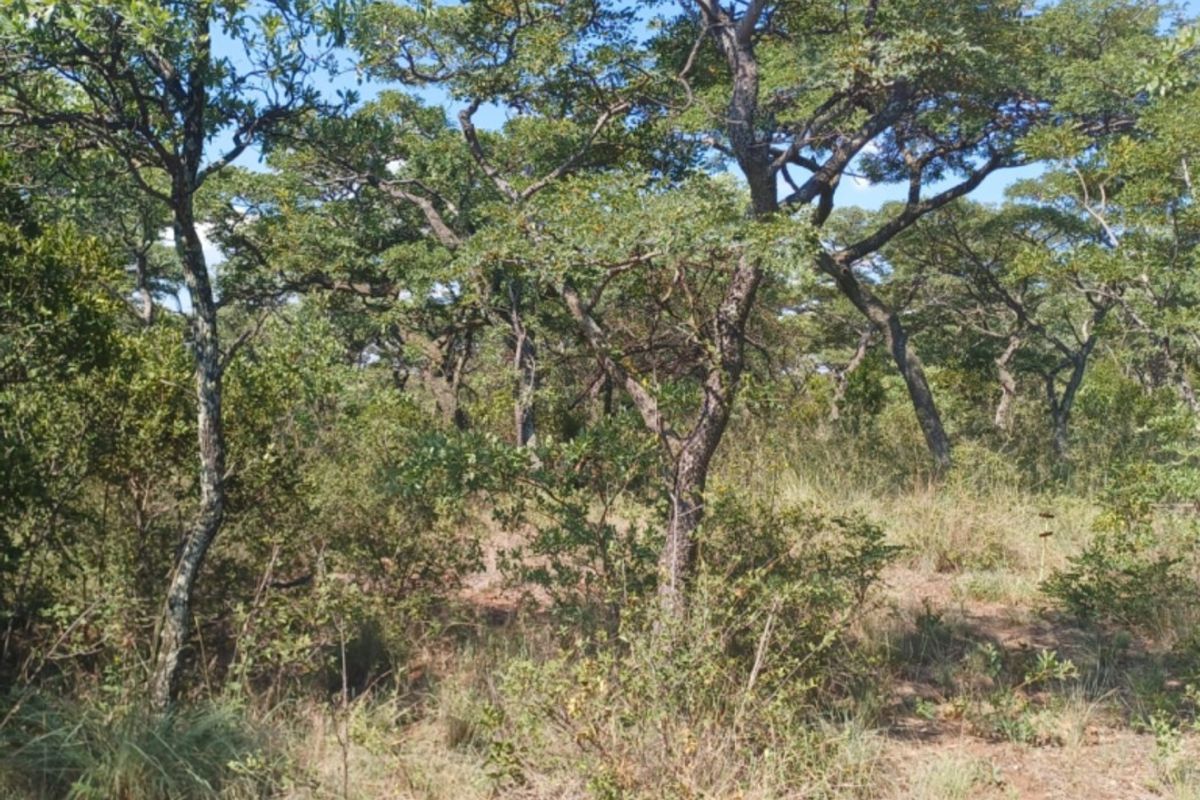 Vacant Land Residential For Sale In Bela Bela - Photo 3
