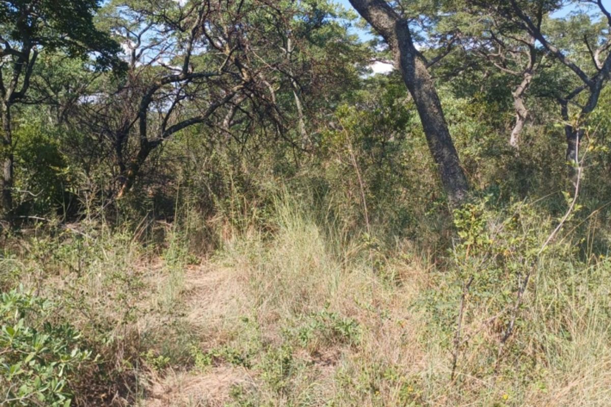 Vacant Land Residential For Sale In Bela Bela - Photo 2