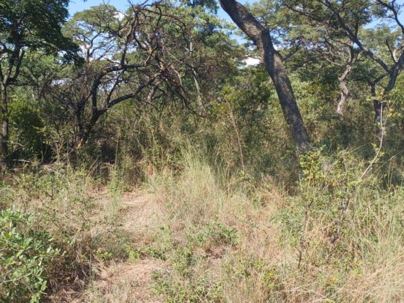 Vacant Land Residential For Sale In Bela Bela - Photo 2