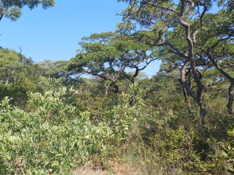 Vacant Land Residential For Sale In Bela Bela - Photo 5