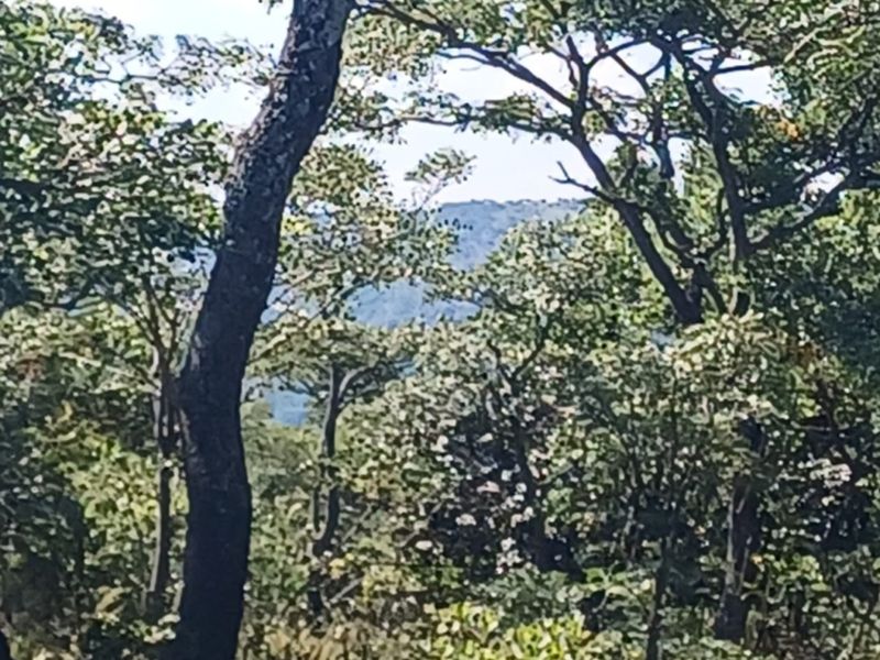 Vacant Land Residential For Sale In Bela Bela - Photo 4