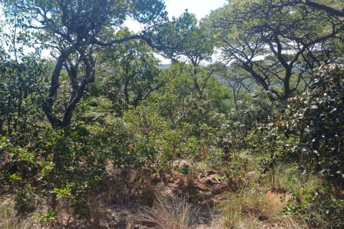 Vacant Land Residential For Sale In Bela Bela - Photo 2