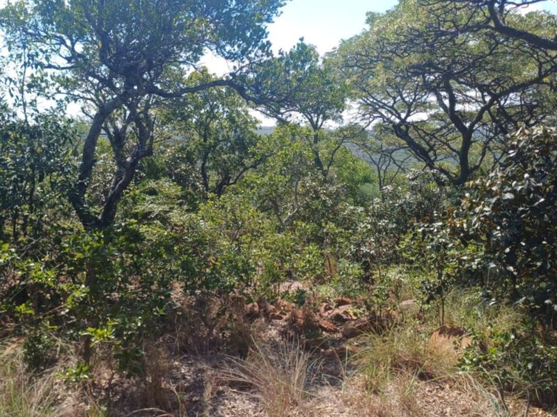 Vacant Land Residential For Sale In Bela Bela - Photo 2