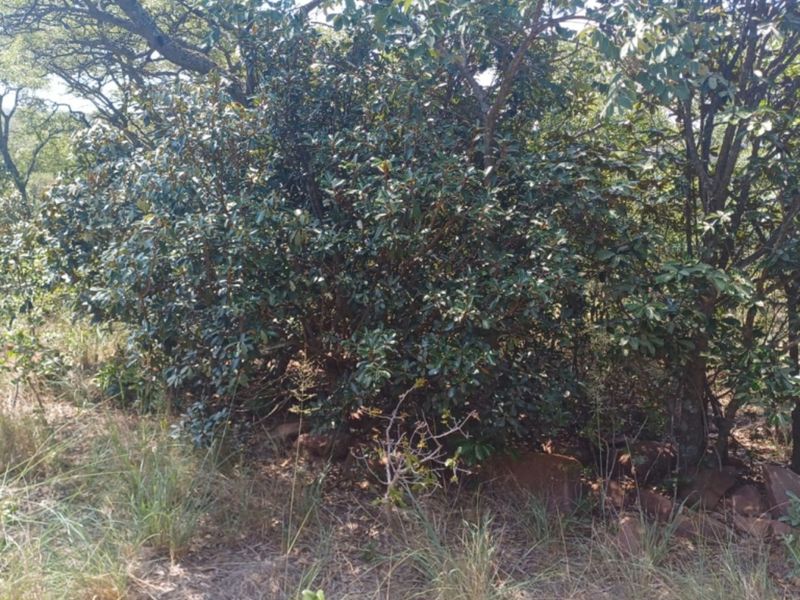 Vacant Land Residential For Sale In Bela Bela - Photo 3