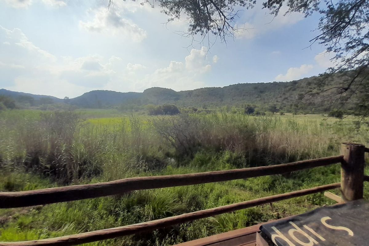 Farm For Sale In Bela Bela - Photo 5