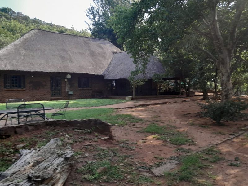 A rear view of a traditional farmhouse featuring a thatched roof, brick exterior, and a covered patio area set within a natural, wooded landscape.