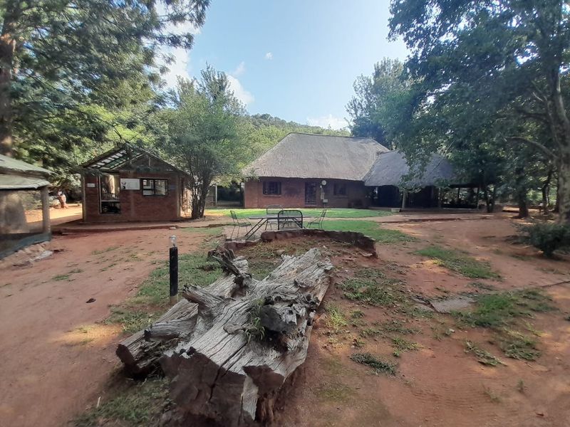 A rustic farm property featuring a traditional thatch-roofed main building and a separate brick outbuilding set within a natural, wooded garden environment.