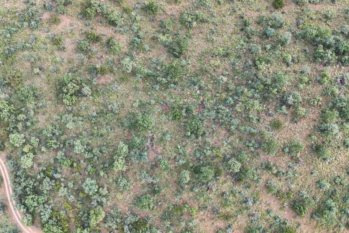 Vacant Land Residential For Sale In Bela Bela - Photo 5