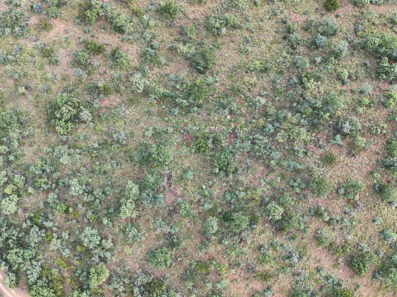 An aerial view of a vacant residential plot featuring natural vegetation and a dirt access track.