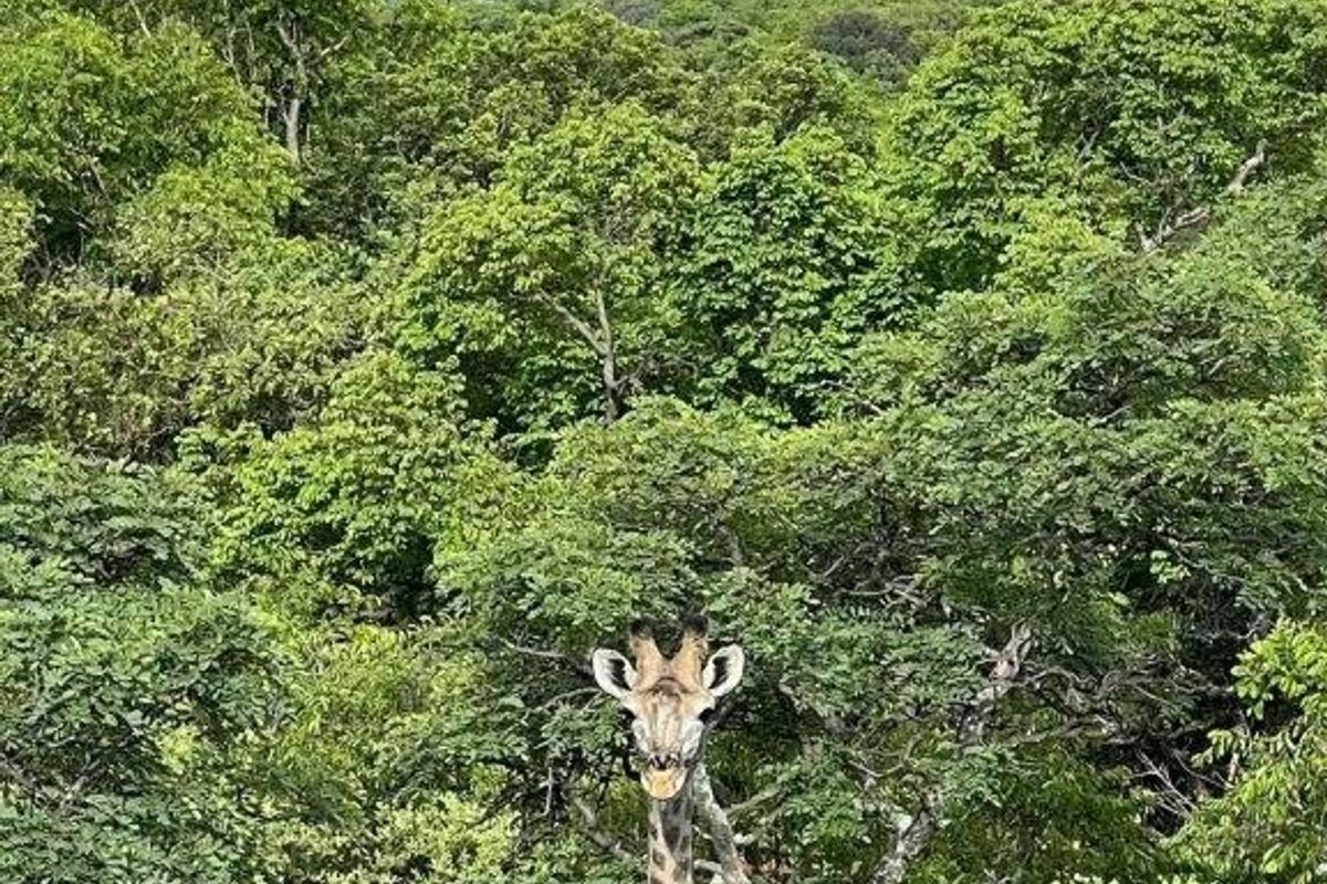 Vacant Land Residential For Sale In Bela Bela - Photo 4