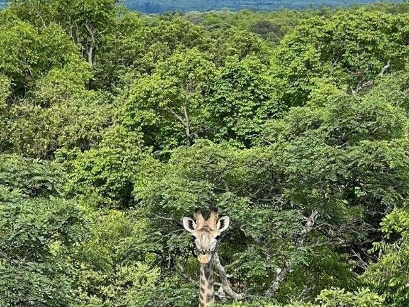 Vacant Land Residential For Sale In Bela Bela - Photo 4