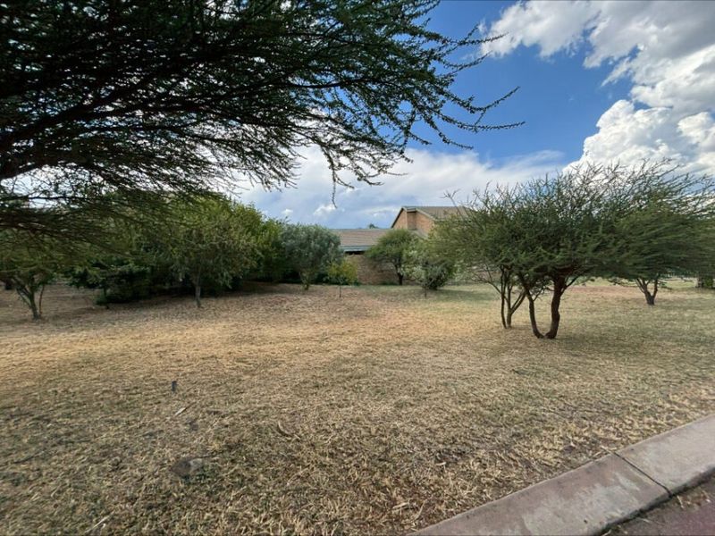 A view of a residential garden area featuring mature trees and established lawn space.