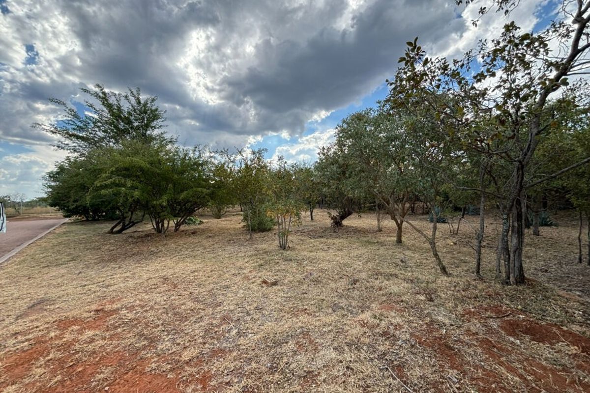 A view of a vacant residential plot featuring established trees and natural ground cover under a cloudy sky.