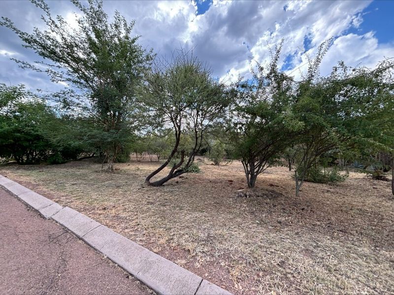 A view of a vacant residential plot featuring established trees and a concrete curb bordering the street.