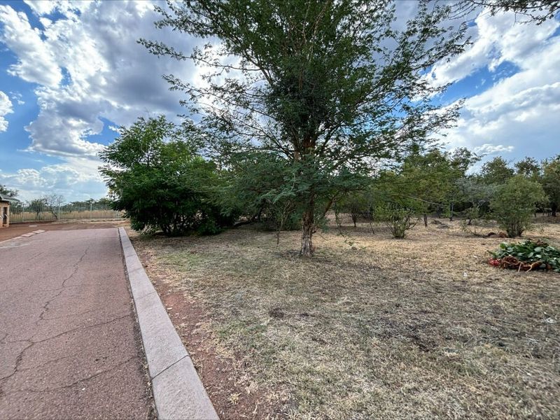 A view of the vacant residential land featuring a paved driveway, concrete curbing, and established trees on the property.