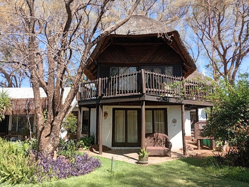 Smallholding For Sale In Bela Bela - Photo 4