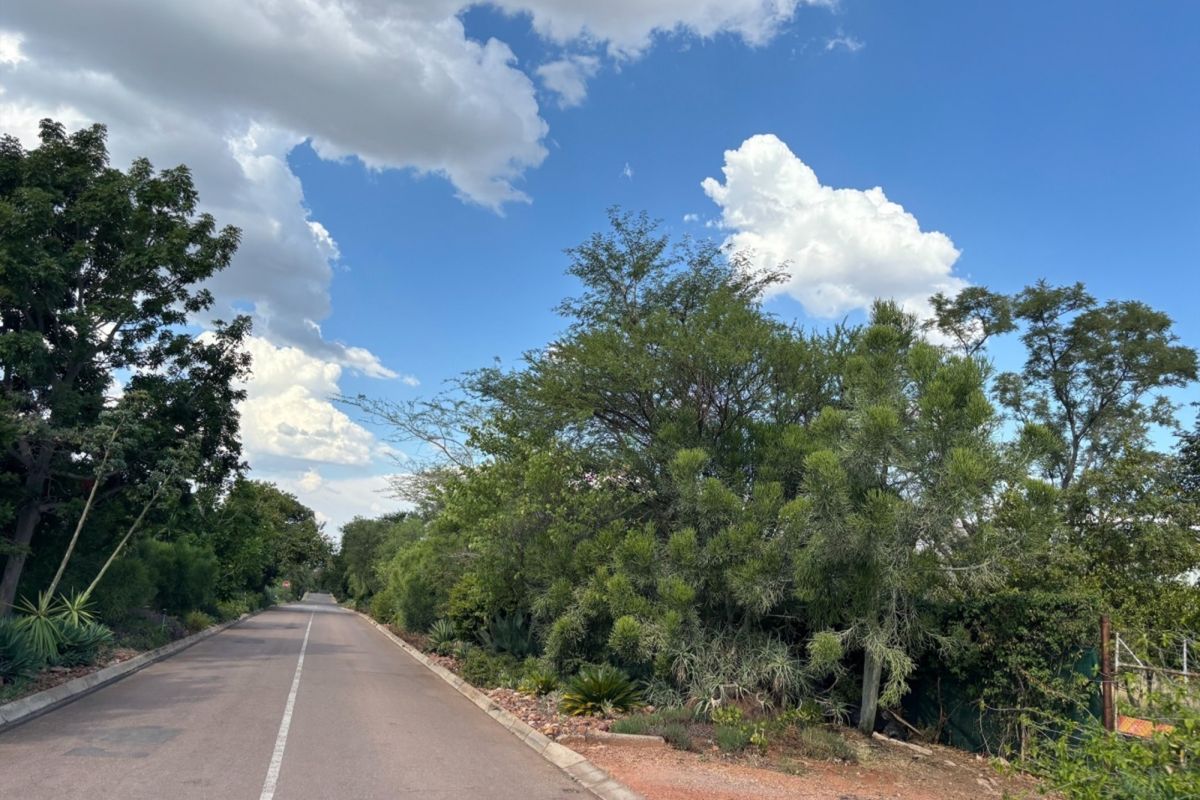 A view of the paved residential street featuring mature trees and established landscaping along the verge.