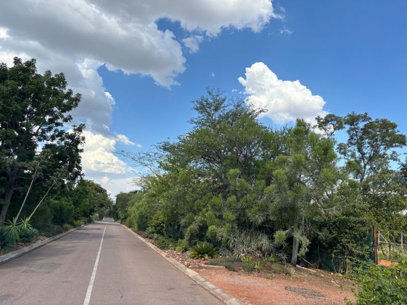 A view of the paved residential street featuring mature trees and established landscaping along the verge.